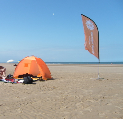 holkham_2015.jpg.1346a8279625e32686f0a45a43ee965f.jpg