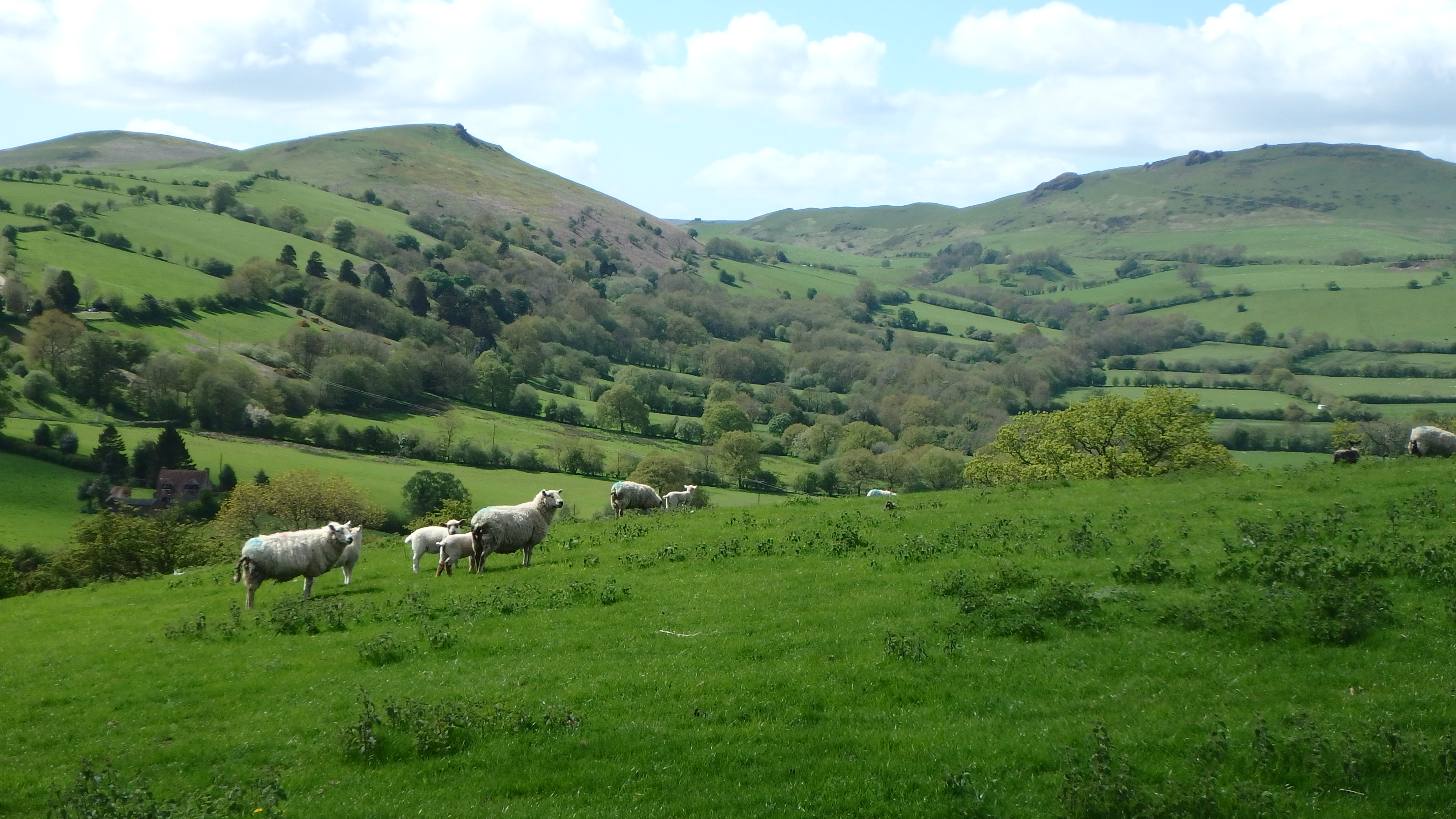 Naturist Walk in Shropshire