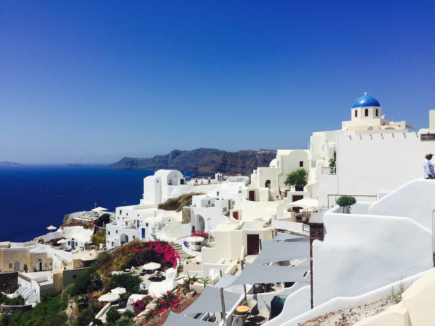 Naked Greek Dining