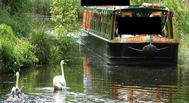 Naturist Canal Boat Cruise on the Basingstoke canal including food