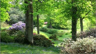 High Beeches Garden