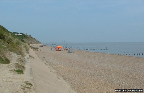 Corton Naturist Beach Day