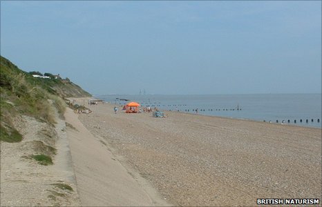 _48642420_corton_beach_distance.jpg.fd085001f1bdadef637817ad8925f832.jpg