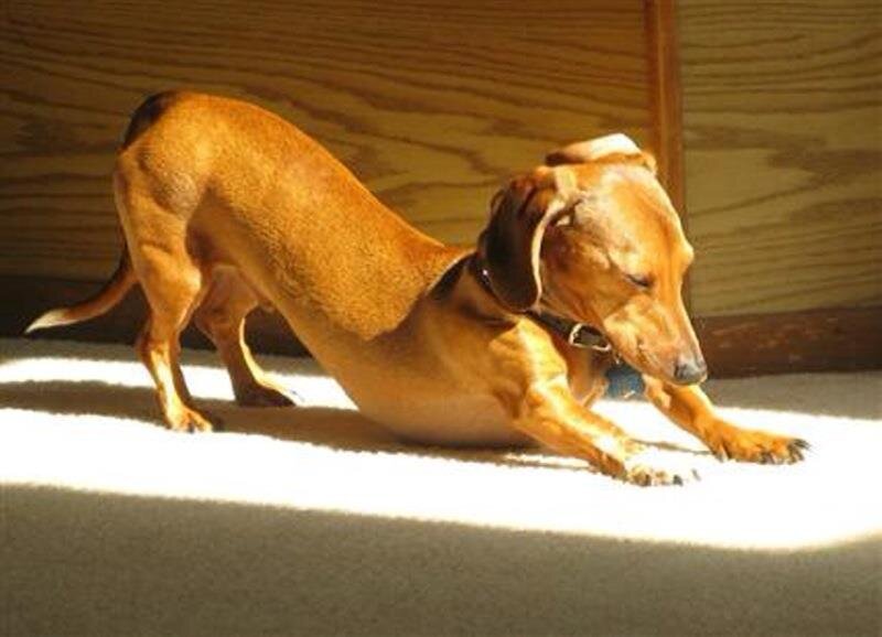 Naked Yoga