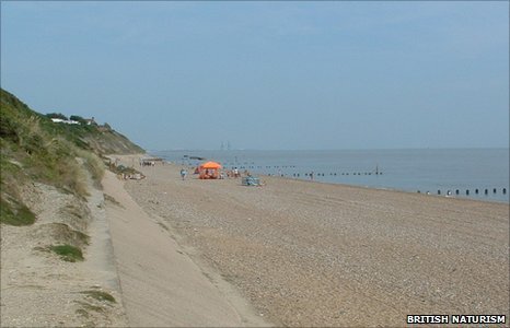 Eastern Region Beach Day at Corton