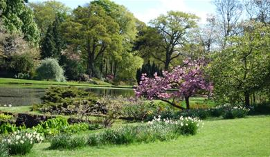 Adlington Gardens Naked Heart Walk