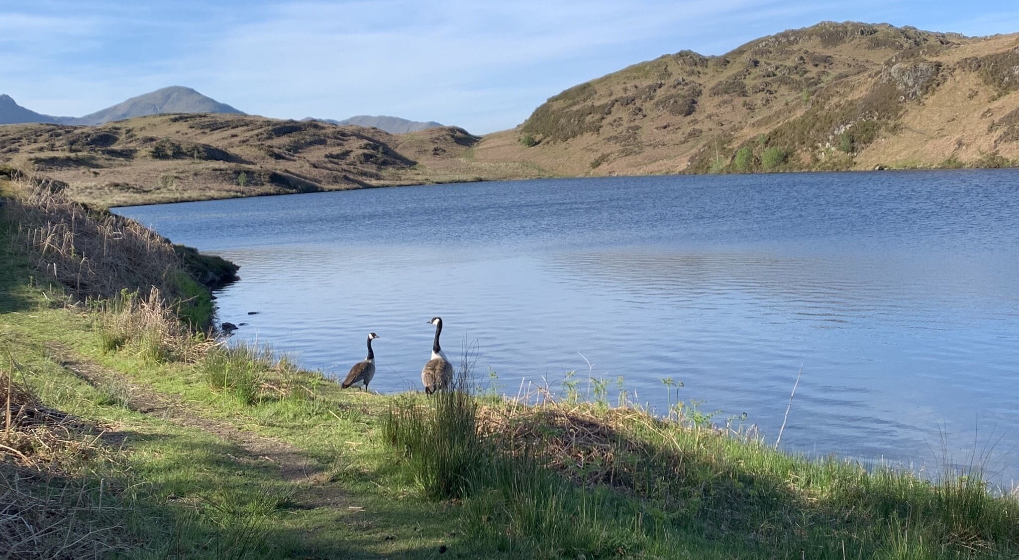 Beacon Tarn Skinny Dip