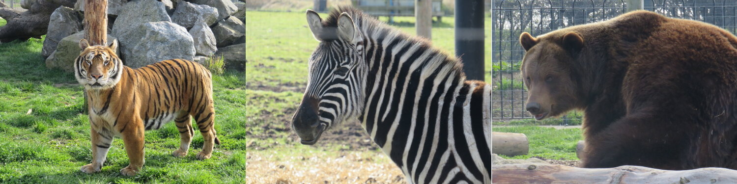 Wolds Wildlife Park c/o event