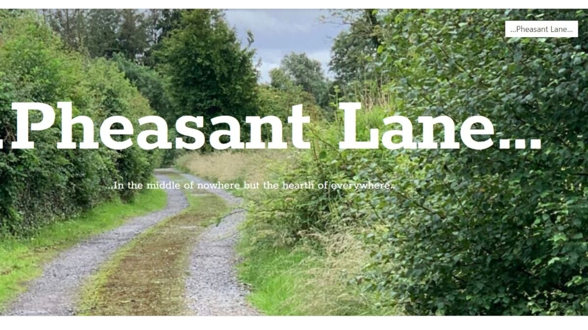INA MONTHLY PHEASANT LANE EVENT