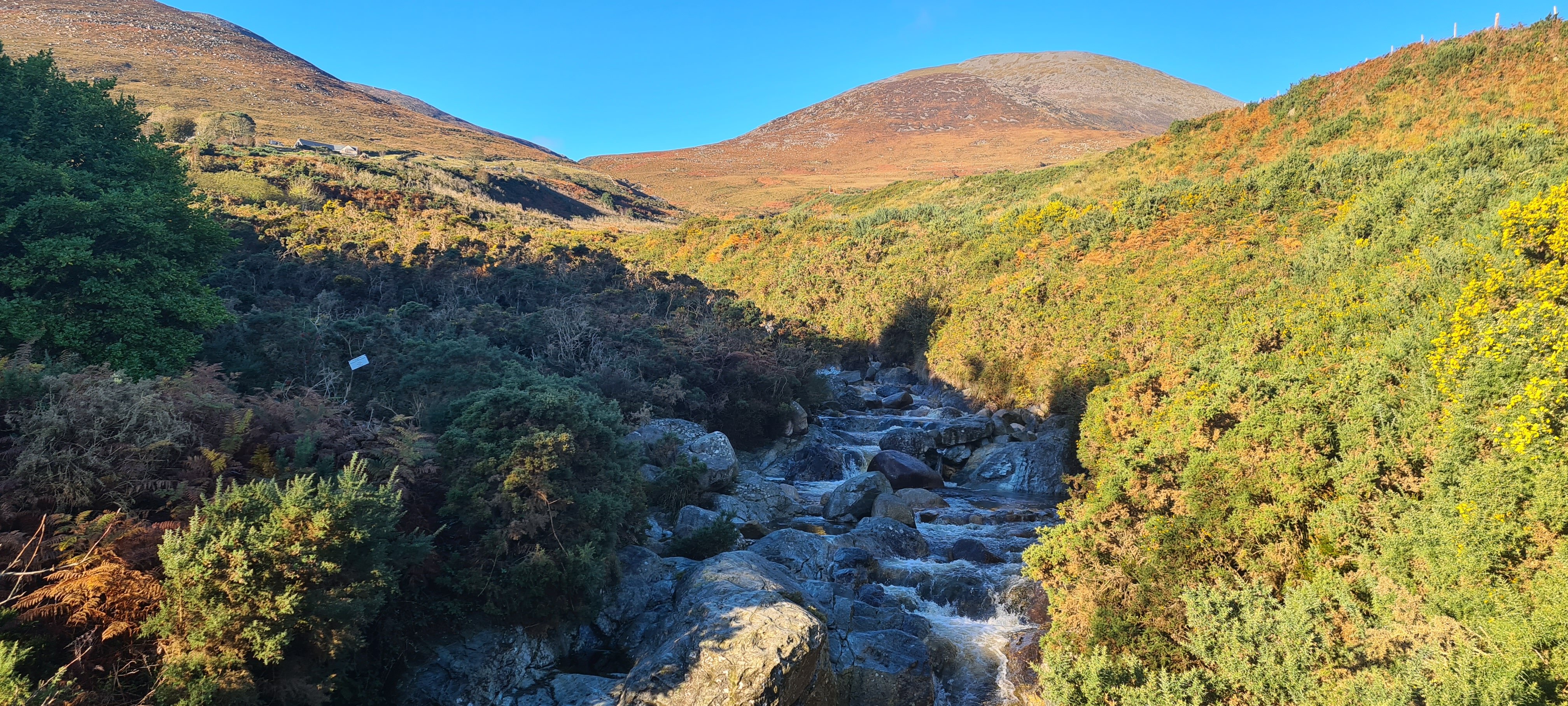 Camping and Bunkhouse Weekend