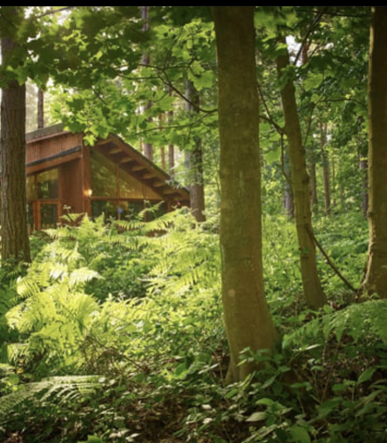 Long weekend - Sherwood Forest Cabin