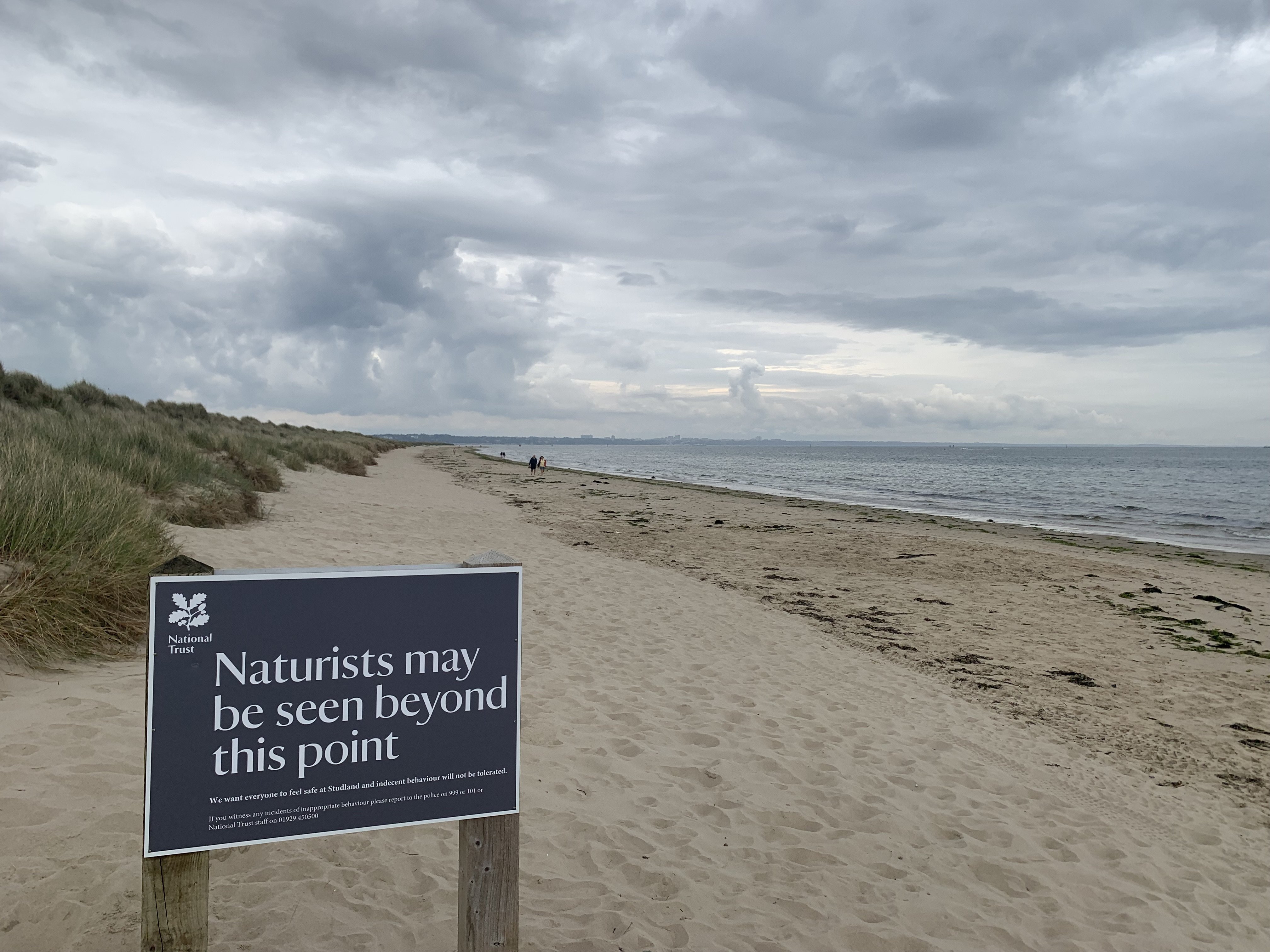 Studland Beach Day