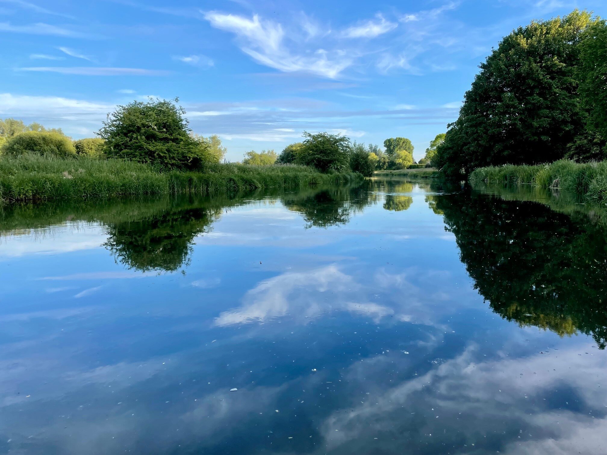 Evening Visit to Houghton Lodge Gardens