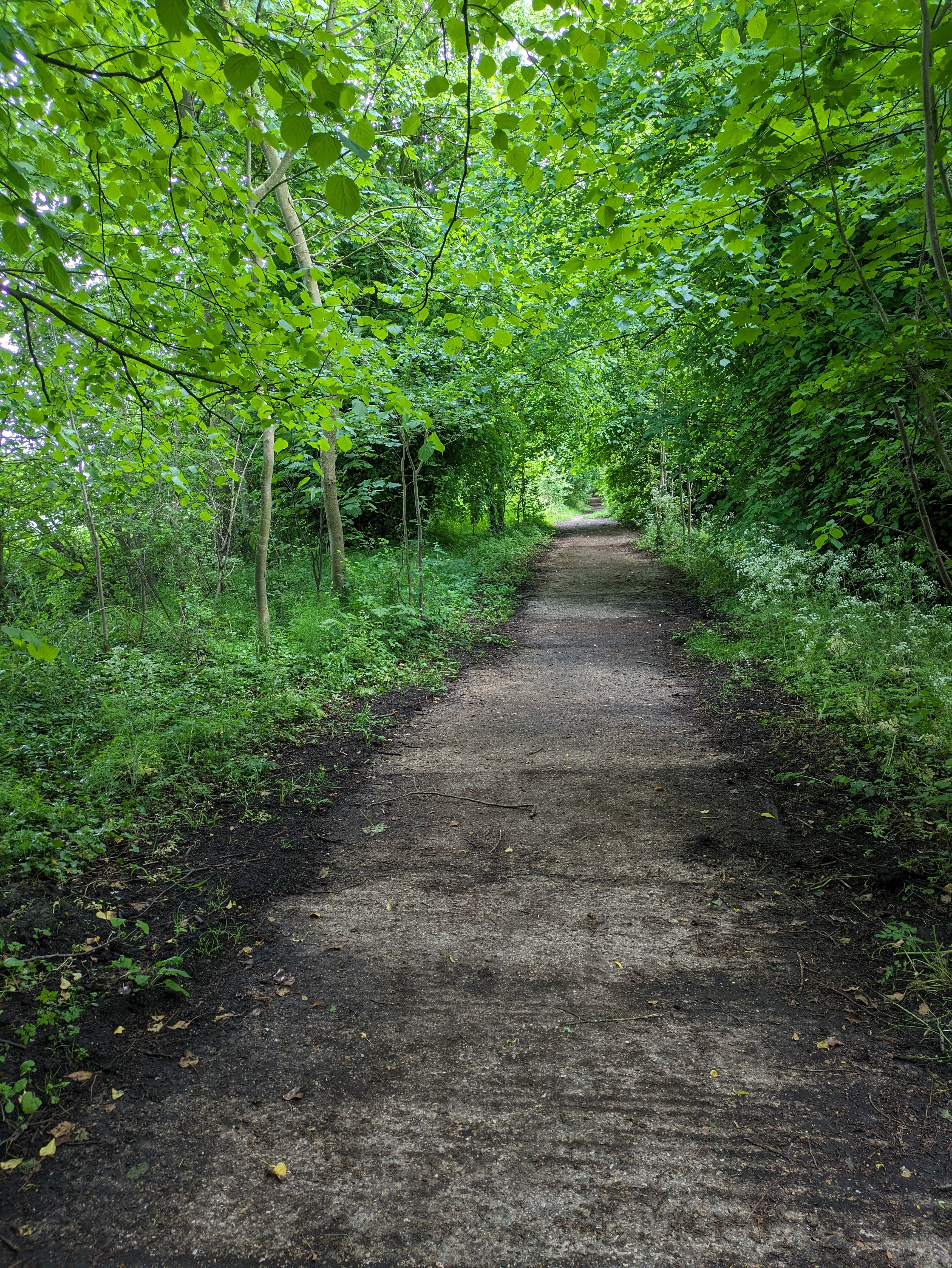 Yorks & E.Mids walks - Watton