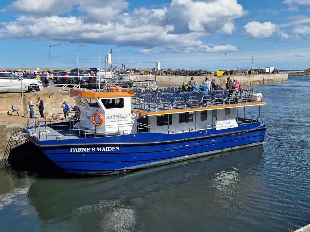 Farne Maiden.jpg