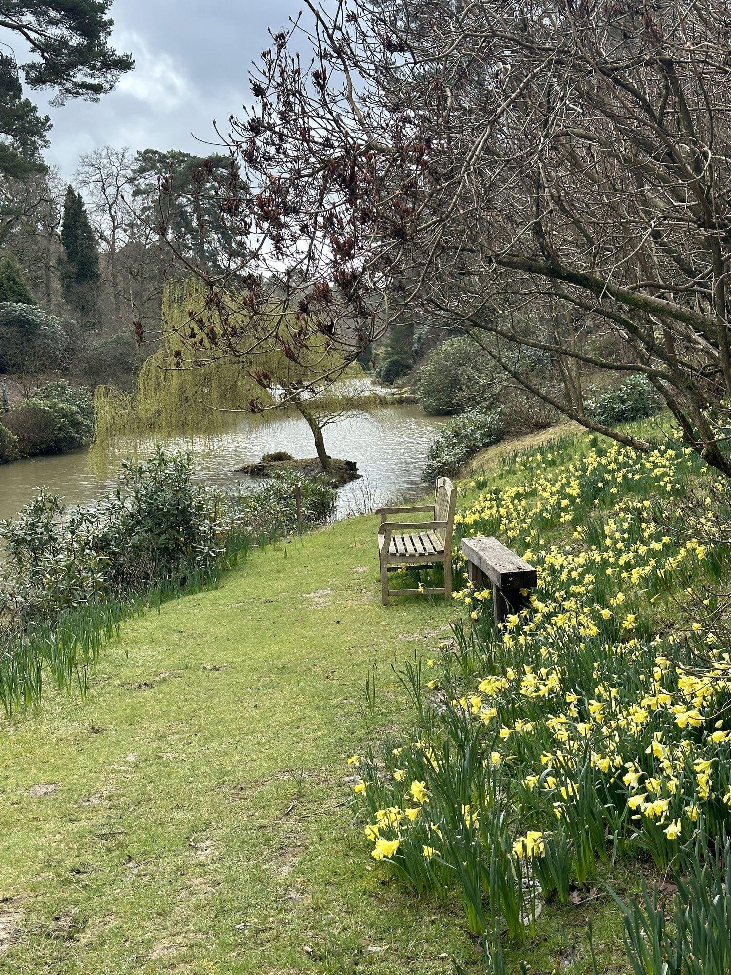 Leonardslee Gardens Naked Heart Walk (1)